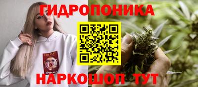 a pvp Тара