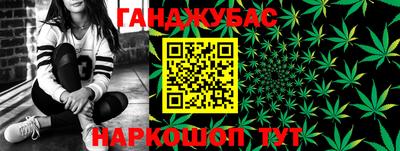 a pvp Тара