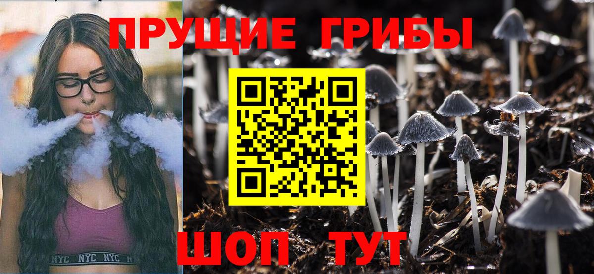 Галлюциногенные грибы MAGIC MUSHROOMS  Галлюциногенные грибы MAGIC MUSHROOMS  Вход с VPN  Мирный 